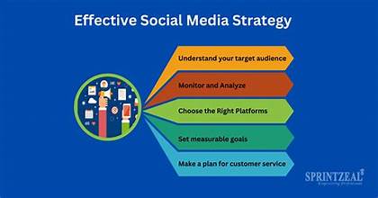 Digital Marketing Freelancer